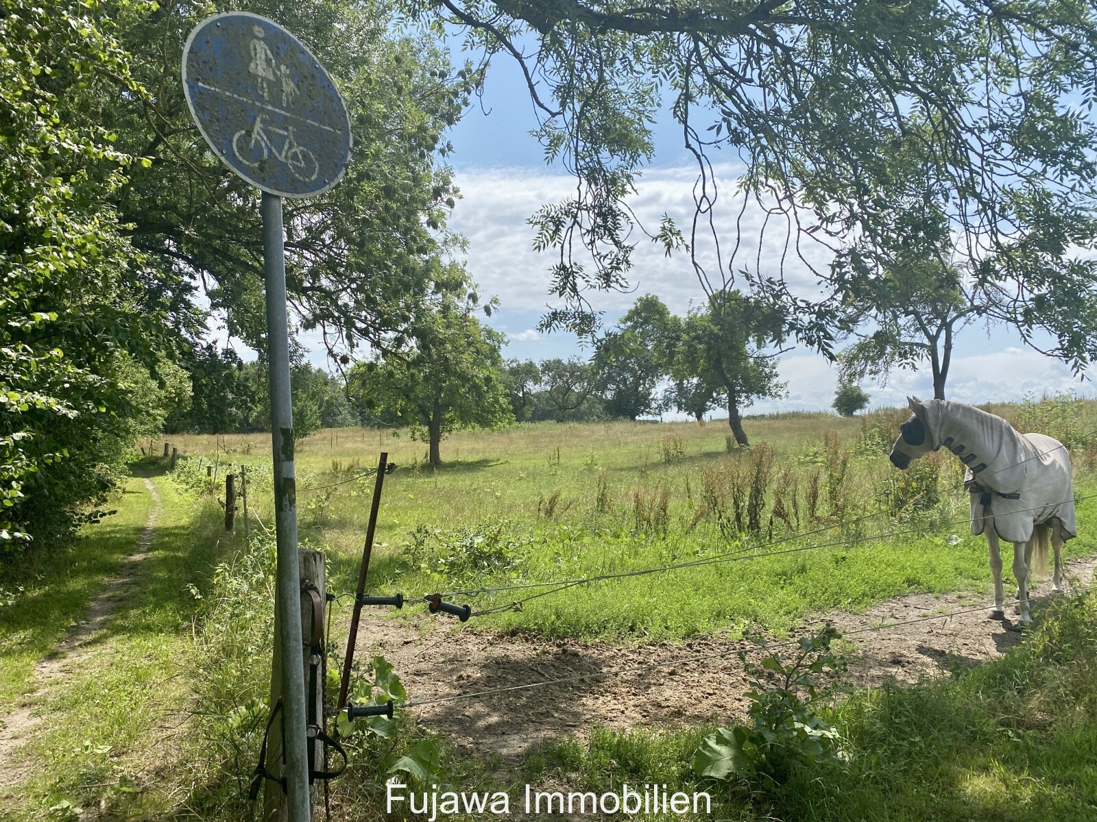 Traumhaftes Einfamilienhaus nahe der Müritz: Ruhige Lage, Energieklasse A, Neuwertig