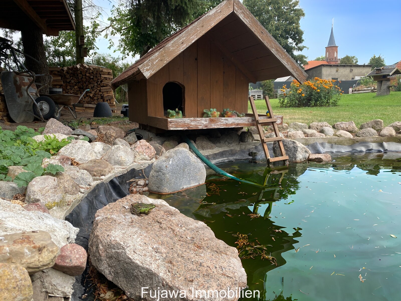 Teich mit Frosch im Garten Teich mit Frosch im Garten