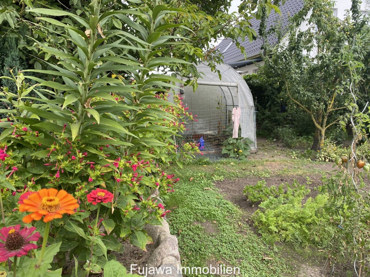 Garten mit Gewächshaus