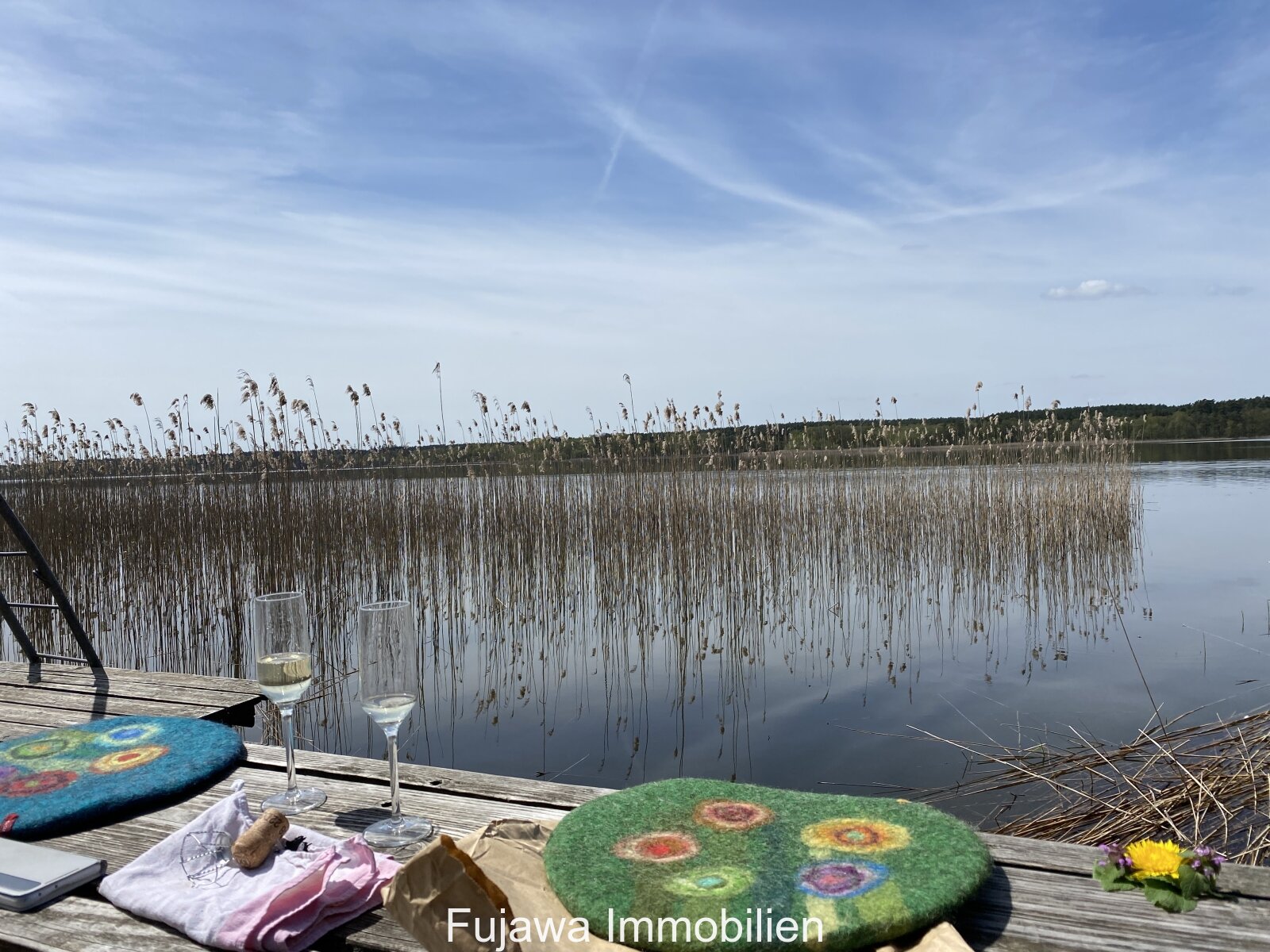 Badesteg im Schilfgürtel am Useriner See Badesteg im Schilfgürtel am Useriner See