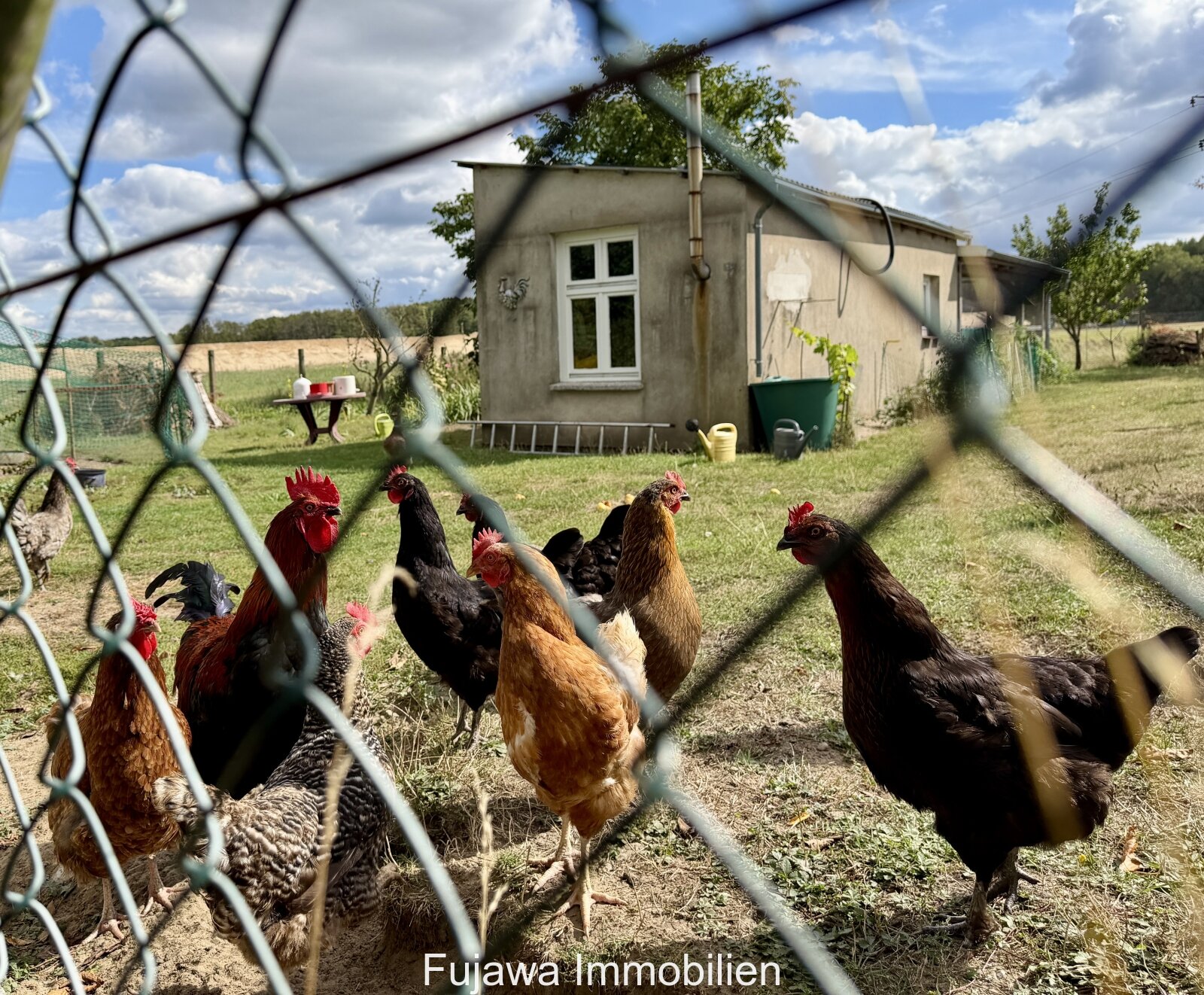 Hühner- und Enten-Gehege mit Stall Hühner- und Enten-Gehege mit Stall